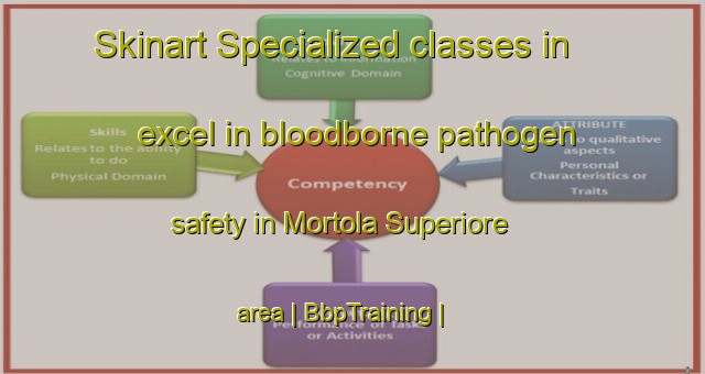 Skinart Specialized classes in excel in bloodborne pathogen safety in Mortola Superiore area | BbpTraining | BbpClasses | SkinartTraining-Italy